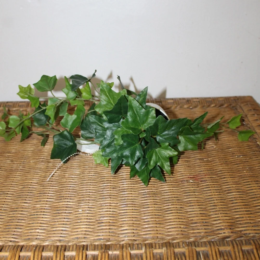 Williams Sonoma Artificial Potted Green Leaf.